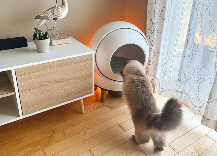 petsafe scoopfree smartspin review 11