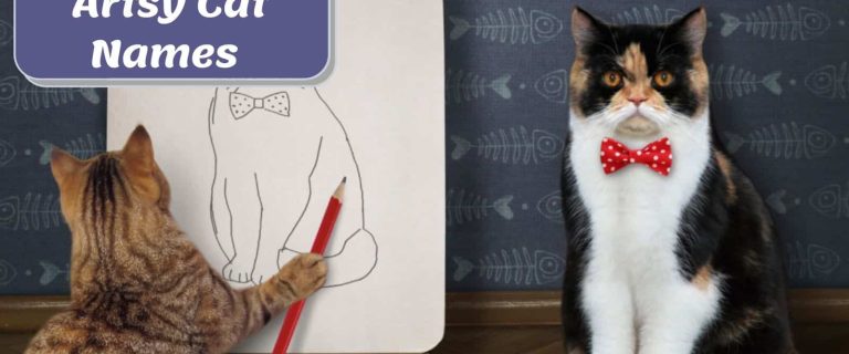 Top Artsy Cat Names to Inspire You: Unleash Your Inner Artist