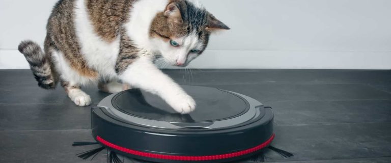 From uprights to handheld to robots, we're looking at all the BEST vacuums for cat litter in every category. Check out our full reviews!