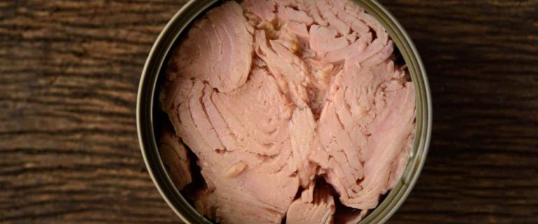 Canned Tuna Open