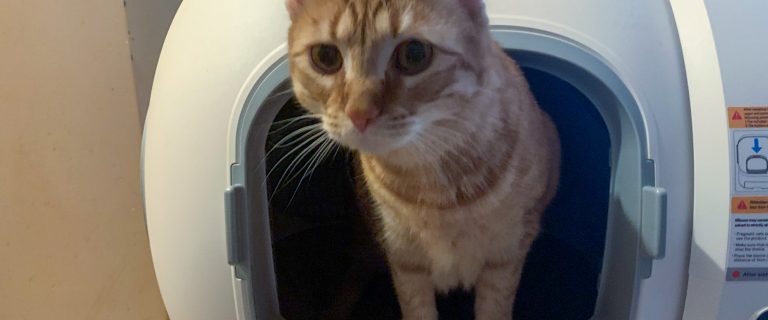 HomerunPet Self-cleaning litter box Review