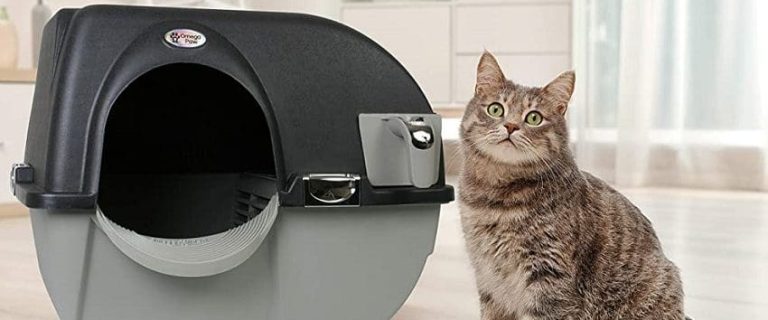 Omega Paw Self-Cleaning Litter Box Review