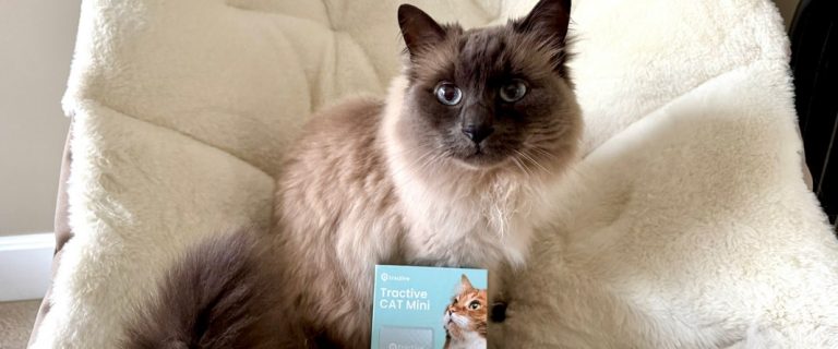 Tractive Cat Mini review