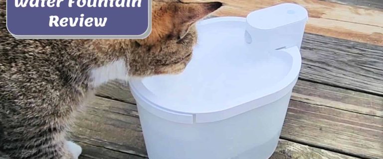 cat drinking on the Uahpet Wireless & Battery Operated Cat Water Fountain