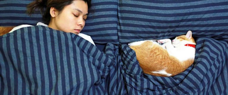 Why do cats like to sleep with their owners? The answers are more intriguing than you might think! Find out what they are!