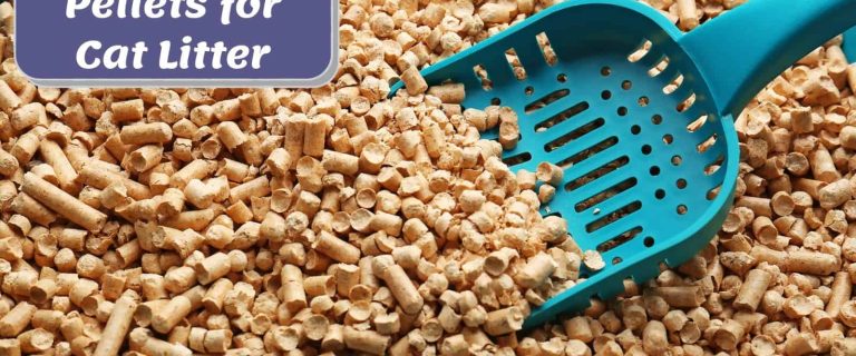 Wood pellets for cat litter with a blue scooper