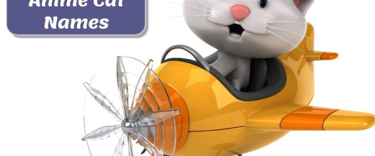 cartoon cat beside cute anime cat names poster