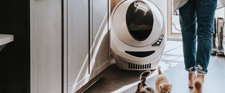 Litter-Robot vs CatGenie vs Petsafe: Which is the Best?