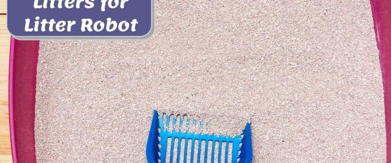 11 Best Cat Litter for Litter Robot for Easy Maintenance