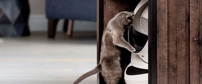 Litter-Robot Cabinet Review: How to Reduce Odor and Noise