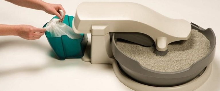 How to Clean a Cat Litter Box Effectively: The Best Ways