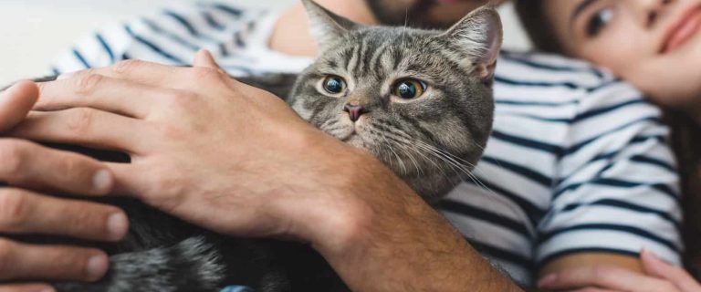 cat lover couple holding cat in hands and embracing
