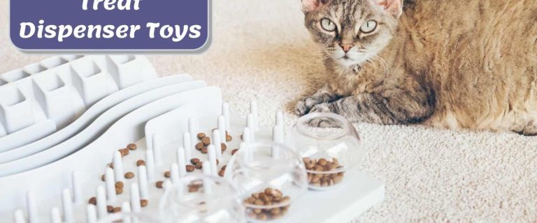 cat sitting beside the Trixie cat treat dispenser toys