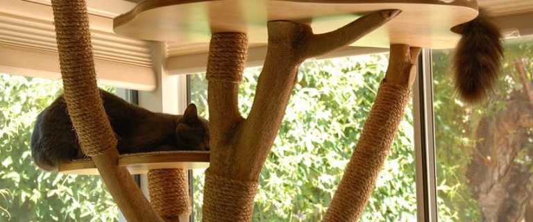 10 Best Cat Trees: Elevate Your Cat's Playtime