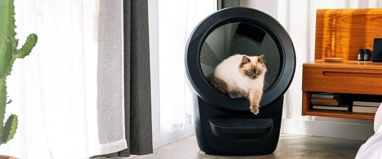 Whisker Litter Robot 4 Review: The Ultimate Solution