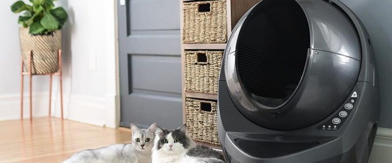 Litter Robot 3 vs 4: Which One Is Better?