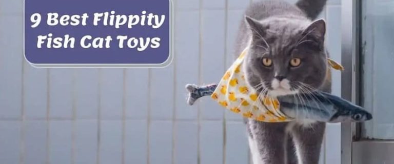 7 Best Floppy Fish Cat Toys for Your Feline Friend