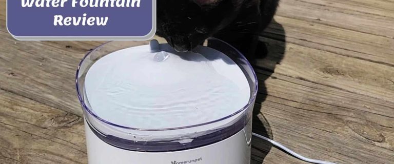 Homerunpet Cat Water Fountain Review: Affordable Option
