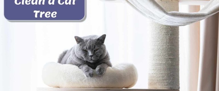 How To Clean a Cat Tree: Maintaining Hygiene In 5 Easy Steps