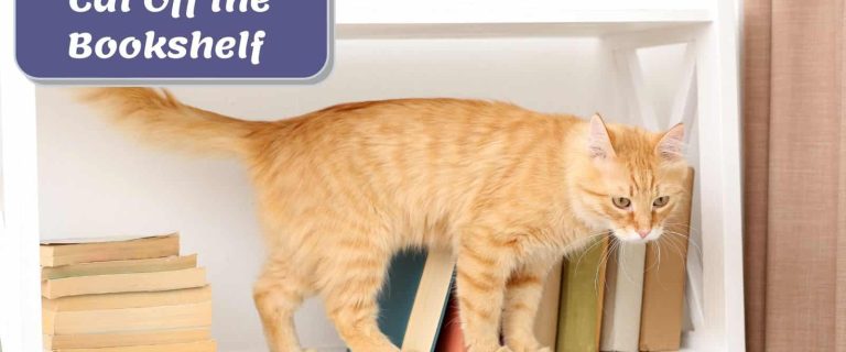 tiger cat umping from the bookshelf but how to keep cat off the bookshelf?