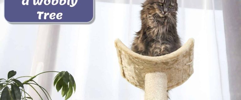 how to make a cat tree more stable