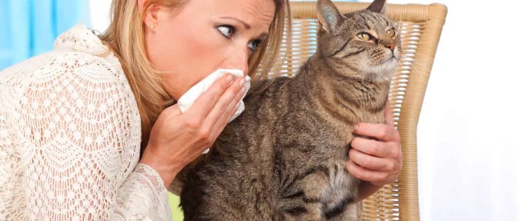 Woman with cat and handkerchief indoor