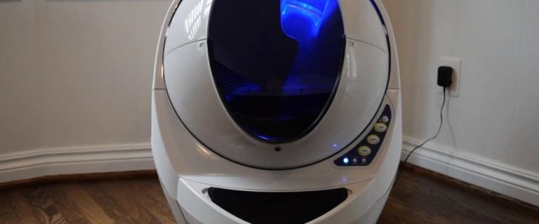 Litter-Robot 3 Troubleshooting: How to Fix Frequent Problems