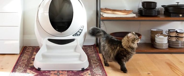 6 Litter-Robot Accessories Your Furry Friend Will Love
