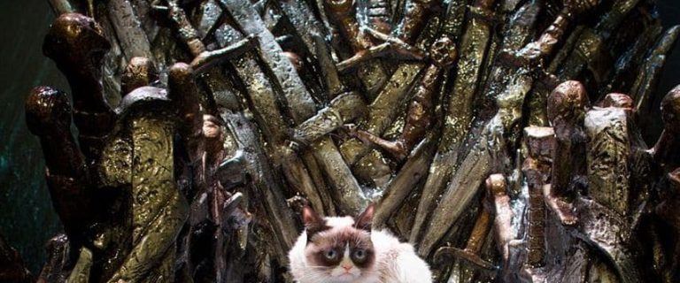 Legendary Game of Thrones Cat Names from the Seven Kingdoms
