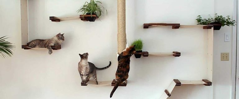 5 Modular Cat Trees: Save You Space and Money