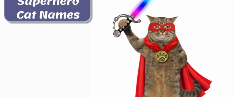 cat holding a laser sword and wearing a red cape: superhero cat names