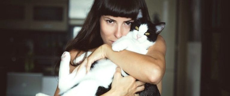 How to Tame a Cat: Tips and Tricks to Make Cat More Friendly