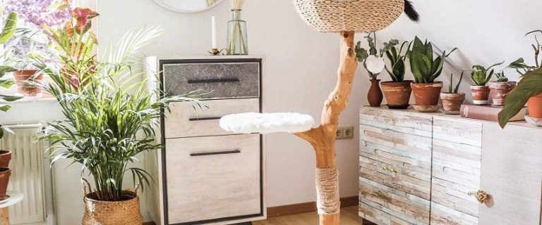 10 Unique Cat Trees: Unconventional Comfort for Your Feline