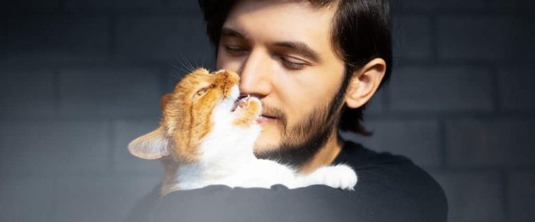 why-cat-nibbles-noses-1024x608-1